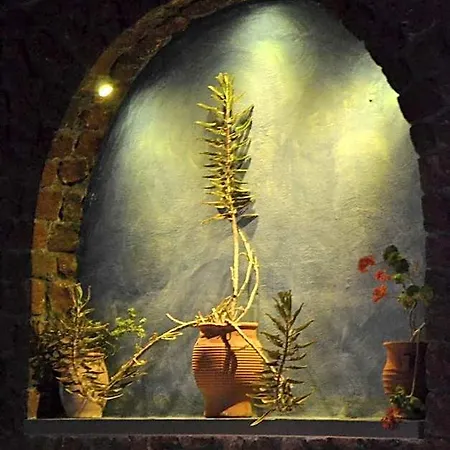 Elixir Del Mar On The